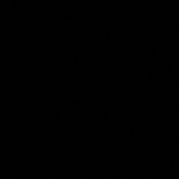 Meet your Posher, Jila - Picture 1 of 1